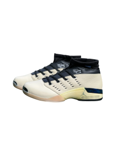 Infinite Archives x Air Jordan 17 Retro Low SP "Beach" - Premium Collaborative Retro Low-Top Model