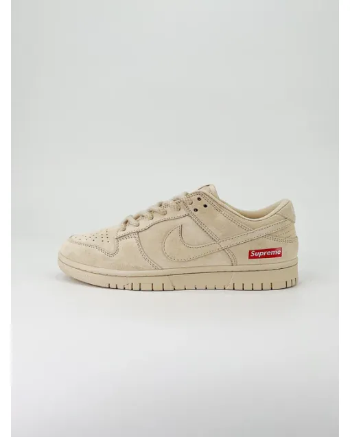 SB Dunk Low – Limited Edition Skate Sneaker