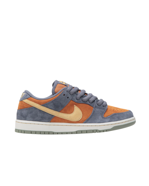 SB Dunk Low Pro Shoes – Low Cut Casual Skate Style Sneakers